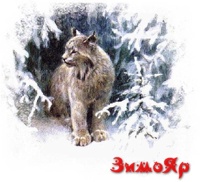 Зимояр